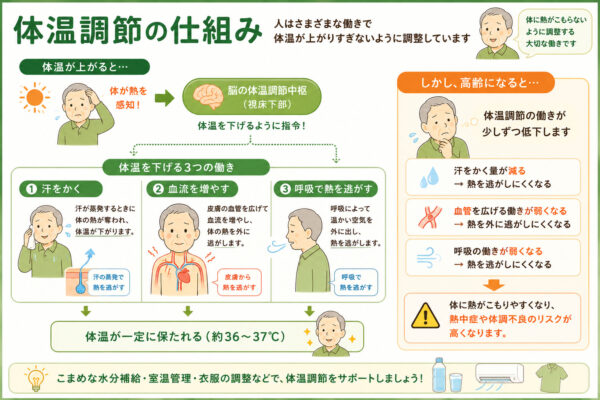 体温調整の仕組み